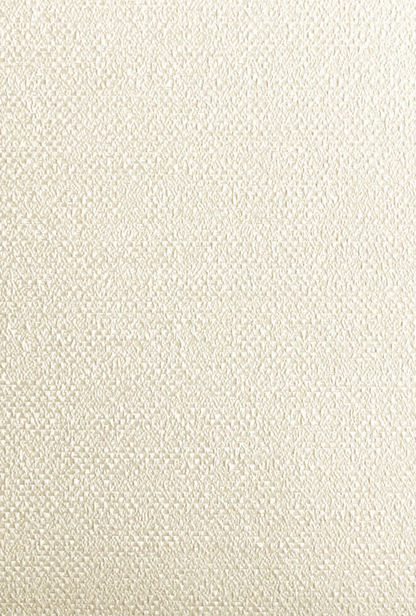 Translucent Roller Blinds