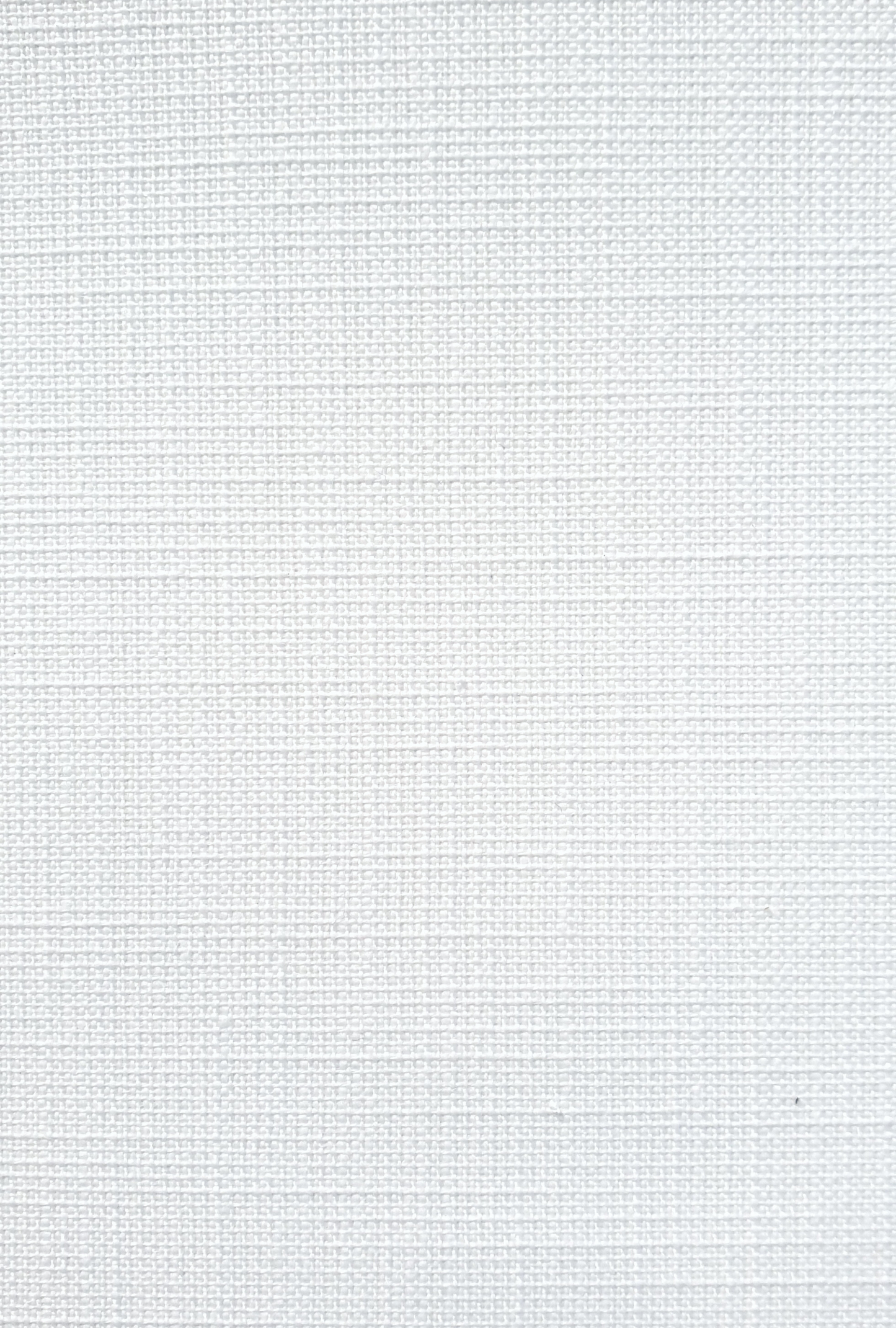 Translucent Roller Blinds