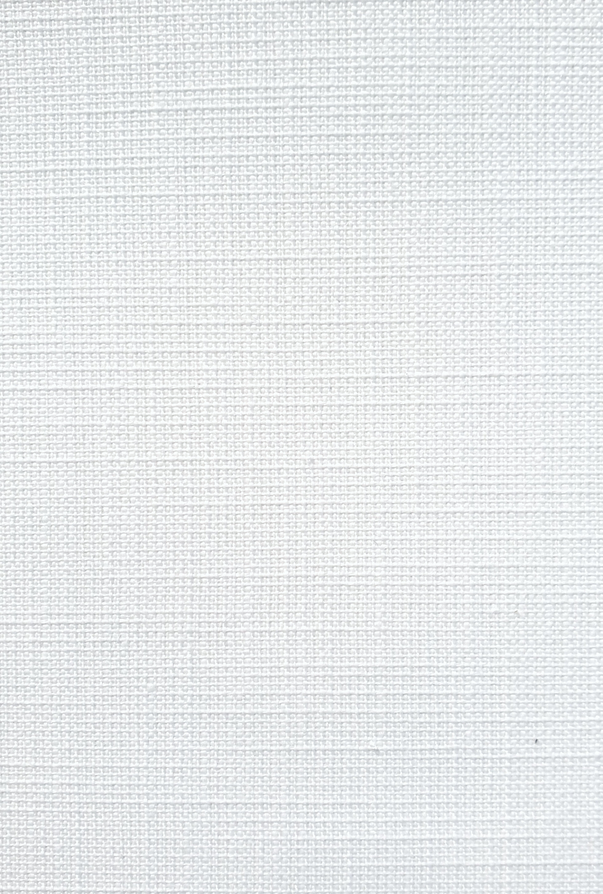 Blockout Roller Blinds (Textured)
