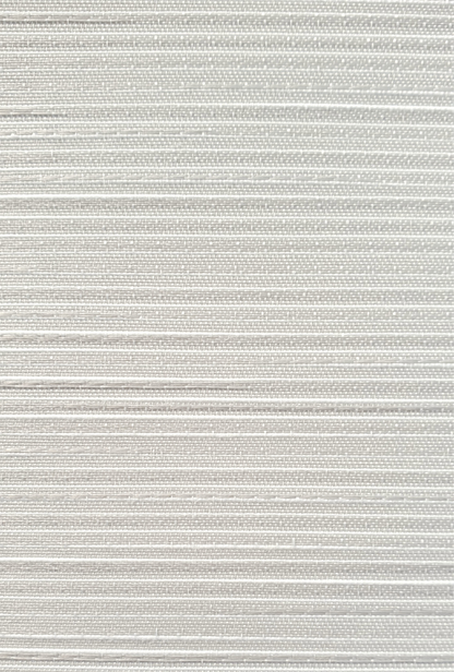 Translucent Roller Blinds